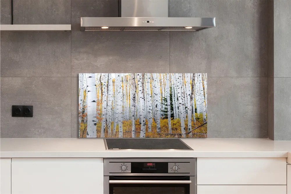 Panel szklany do Kuchni Jesień w Brzozowym Gaju