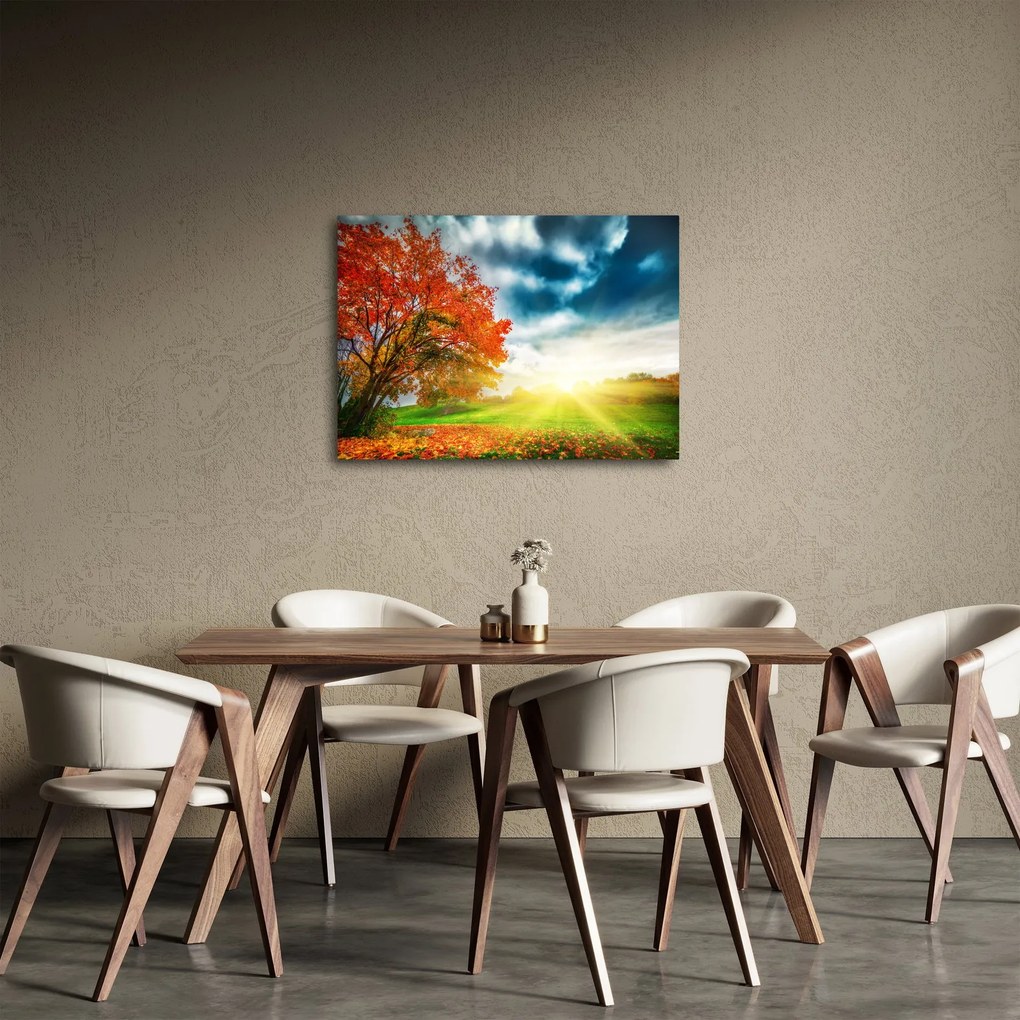 Obraz skąpanego w słońcu krajobrazu (70x50 cm)