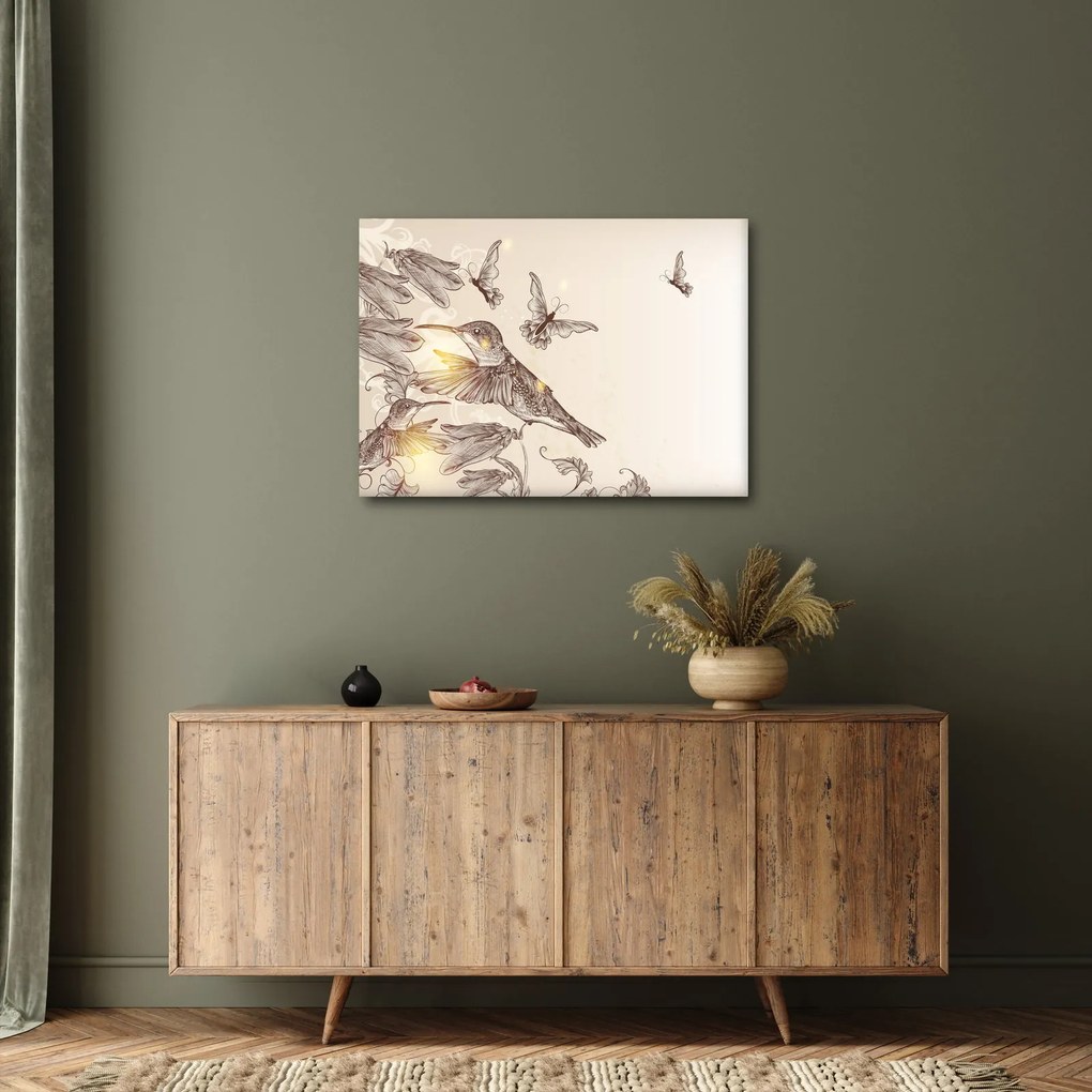 Obraz - Kolibry (70x50 cm)