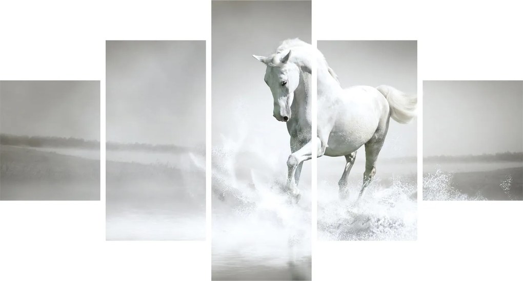 Obraz - Biały koń (125x70 cm)