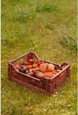 Składane I Sztaplowane Pudełko Z Tworzywa Sztucznego Doli Terracota & 40 Cm - Sklum