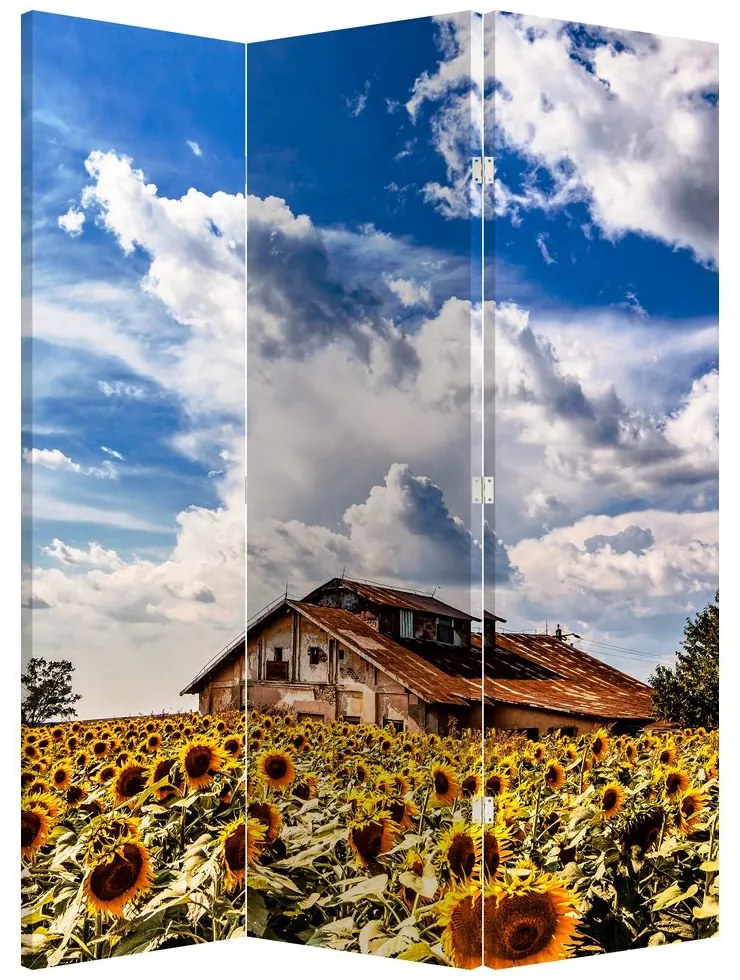 Parawan - Pole słoneczników (126x170 cm)