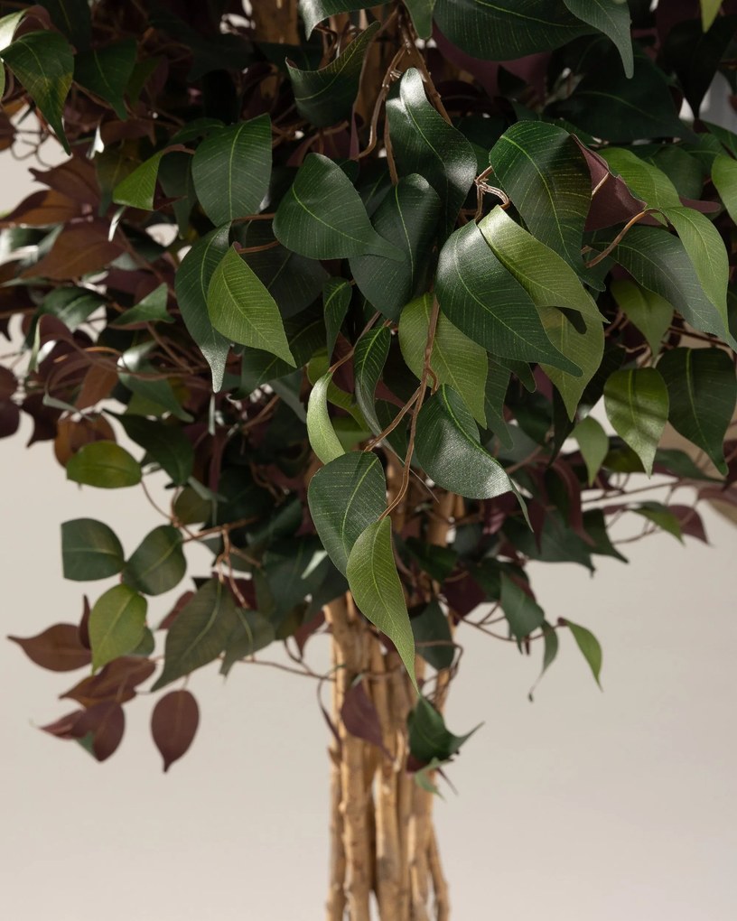 Drzewko dekoracyjne Burgundy w doniczce 210 cm