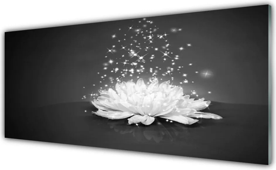 Panel Kuchenny Piękno Polnego Kwiatu