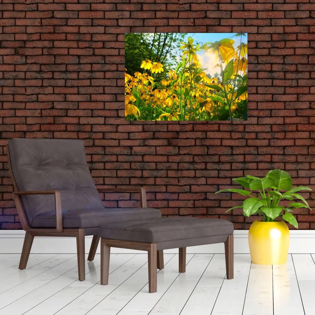 Obraz żółtych kwiatów (70x50 cm)