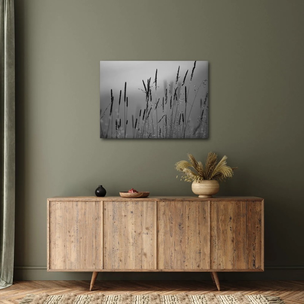 Obraz - źdźbła trawy (70x50 cm)