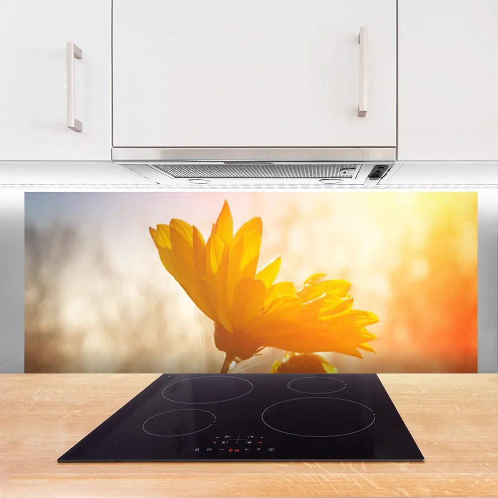 Szkło do Kuchni na Ścianę Złoty Słonecznik W Słońcu