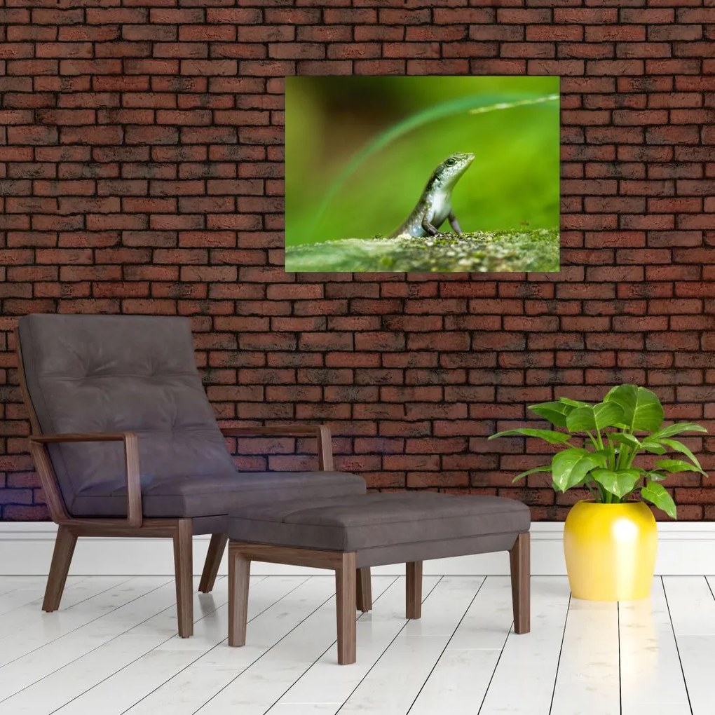 Obraz jaszczurki (70x50 cm)