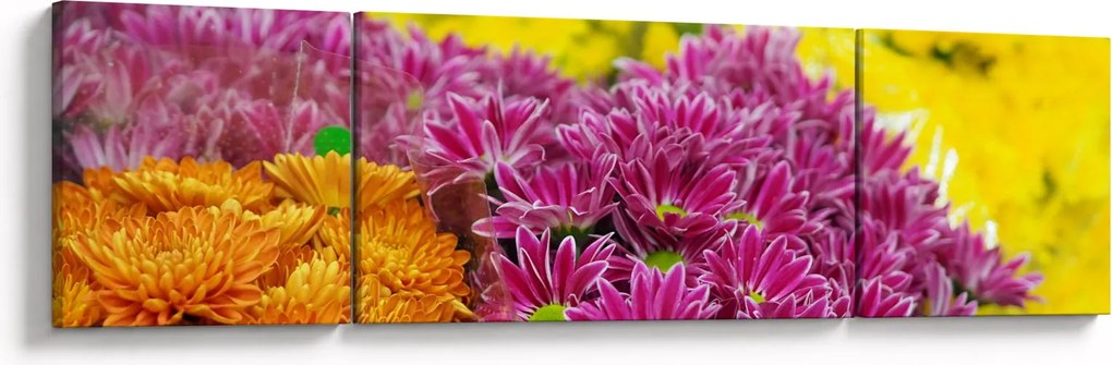 Obraz różowego kwiatu (170x50 cm)