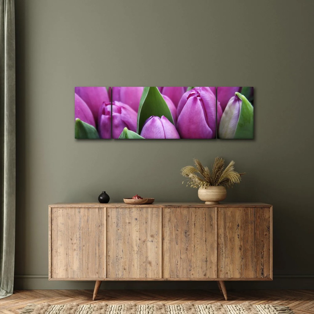 Obraz - kwiaty tulipanów (170x50 cm)