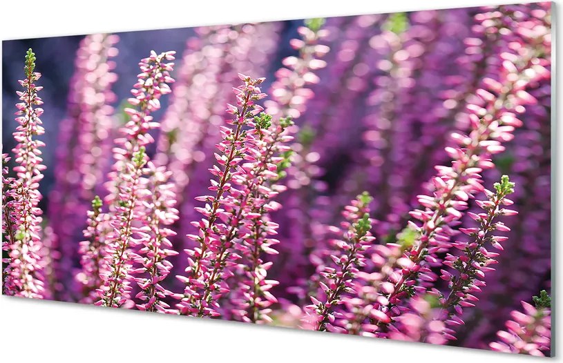 Szkło do Kuchni na Ścianę Delikatne Polne Kwiaty