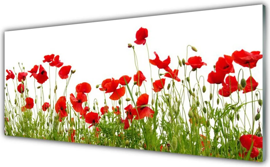 Szkło Ozdobne do Kuchni Dywan Czerwonych Maków na Łące