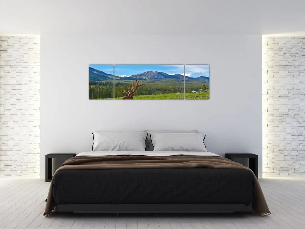 Obraz - Jeleń na łące (170x50 cm)