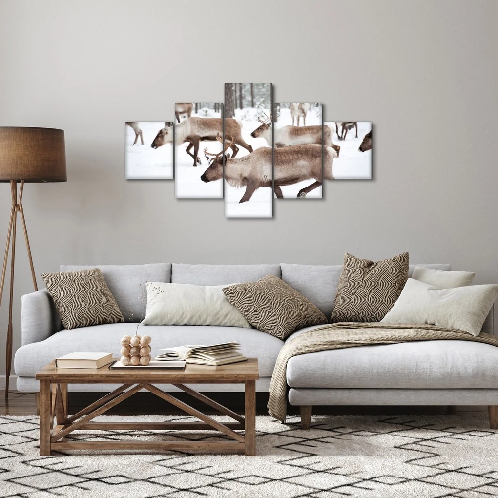 Obraz - Renifer (125x70 cm)