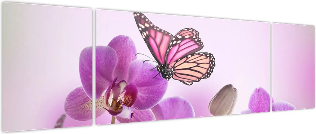 Obraz - Motyl na kwiatach orchidei, liliowy (170x50 cm)
