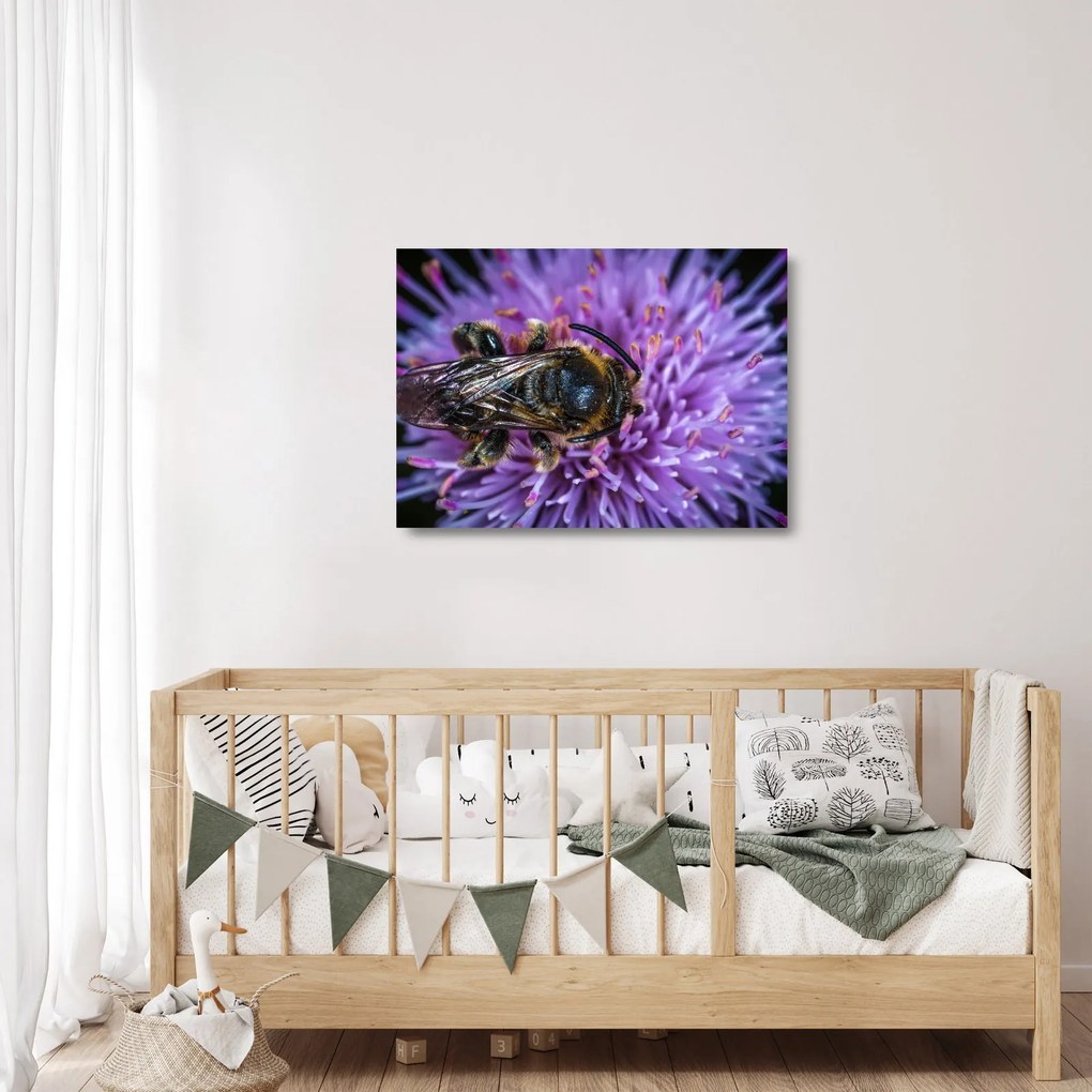 Obraz na szkle - pszczoła na kwiatku (70x50 cm)