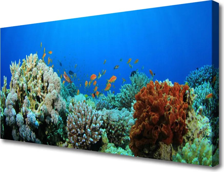 Obraz canvas Kolorowe Życie Oceanu