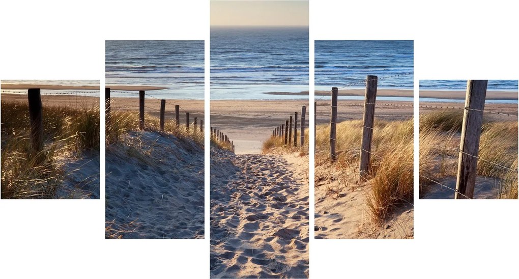 Obraz - Droga na plażę Morza Północnego, Holandia (125x70 cm)