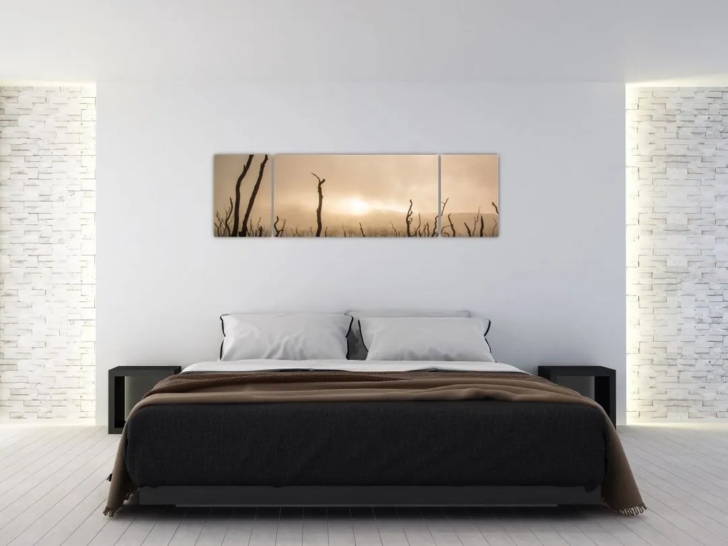 Obraz - Nagie drzewa (170x50 cm)