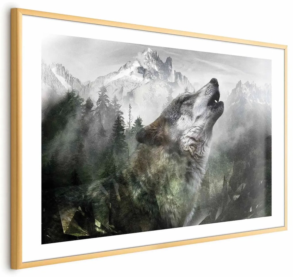 Plakat Wyjący wilk 90x60 cm z ramą złotą z marginesem ARTGEIST B