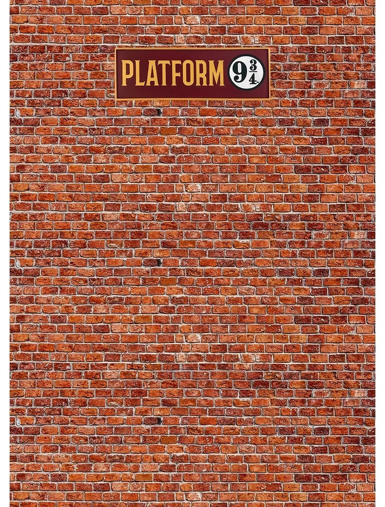 Fototapeta dla dzieci Harry Potter Peron 9 3/4 182x 252 cm, 4 części