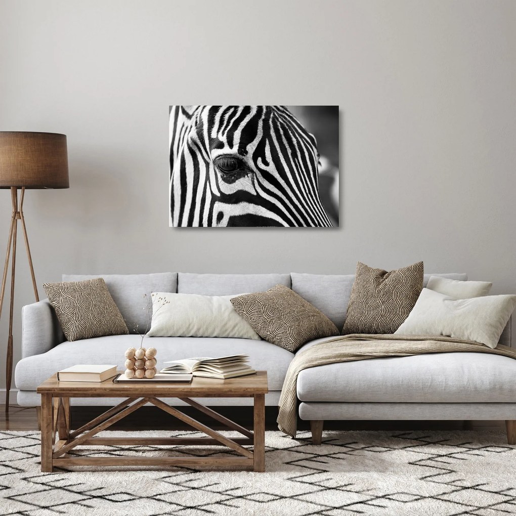 Obraz na szkle - zebra (70x50 cm)