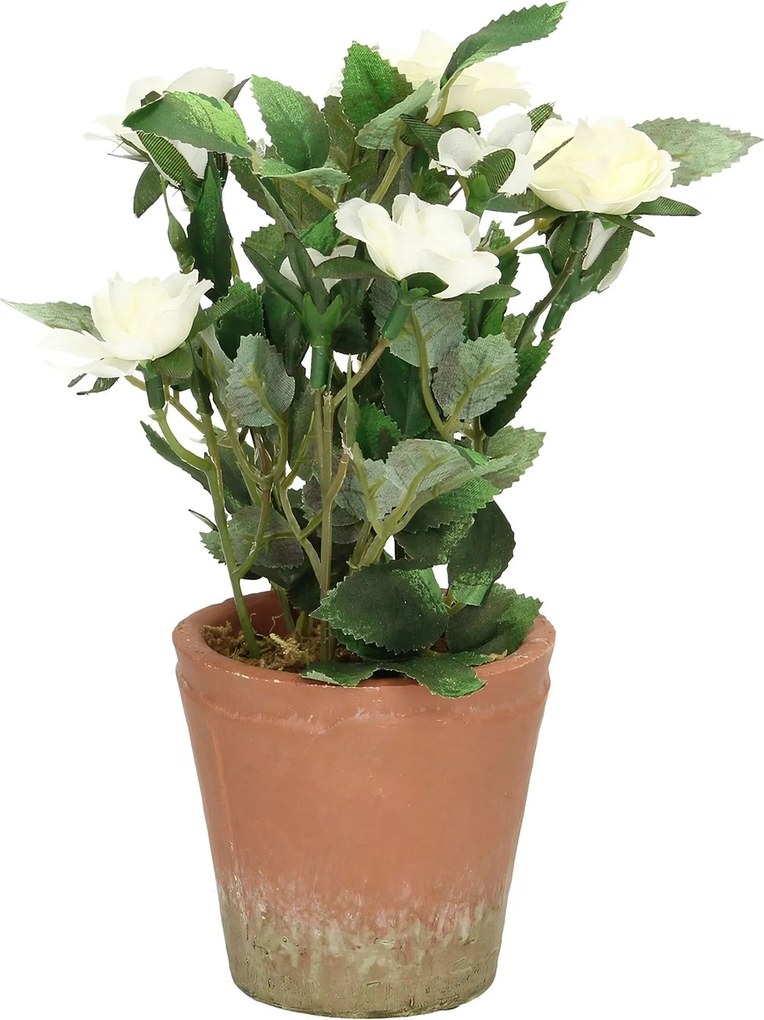 Dekoracja White Rose 24cm