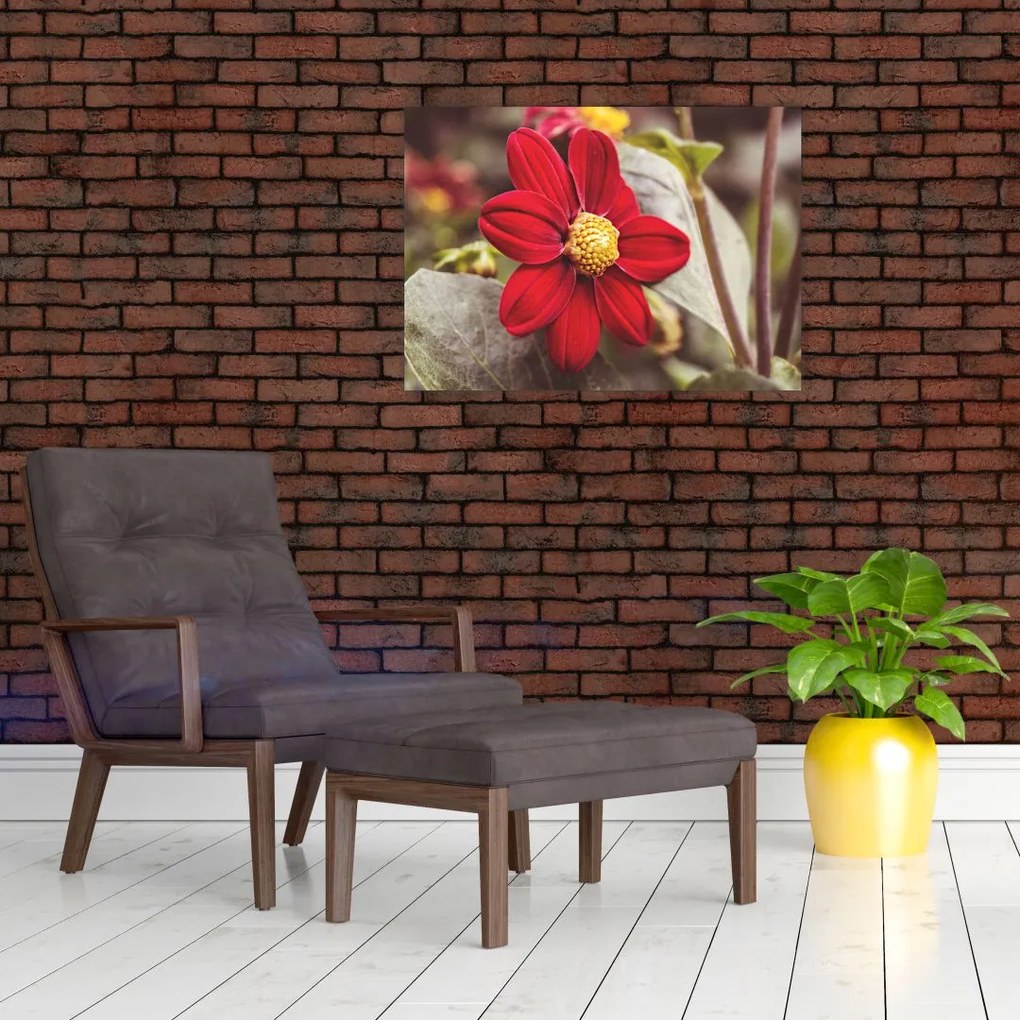 Obraz na szkle - kwiat (70x50 cm)