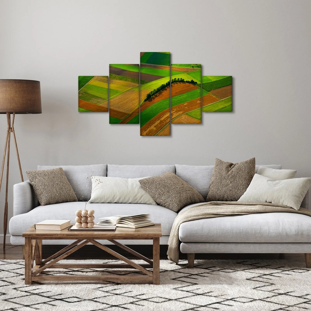 Obraz - Pola, łąki (125x70 cm)