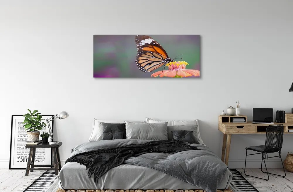 Duży obraz na płótnie Motyl na Kwiecie