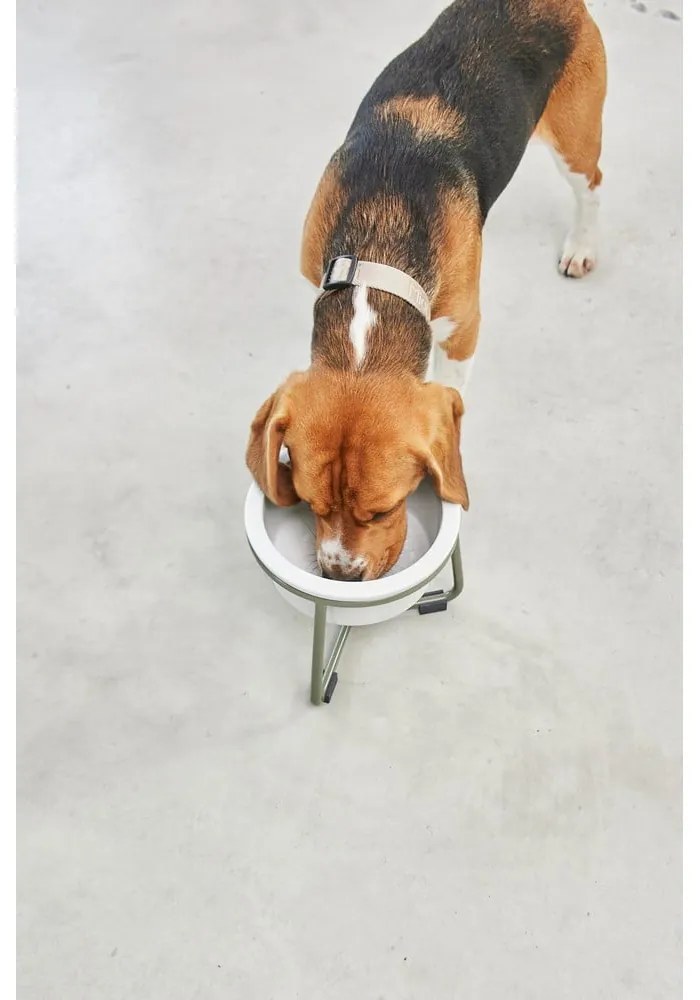 Porcelanowa miska ze stojakiem dla psów ø 20 cm Pranzo Grolive M – MiaCara