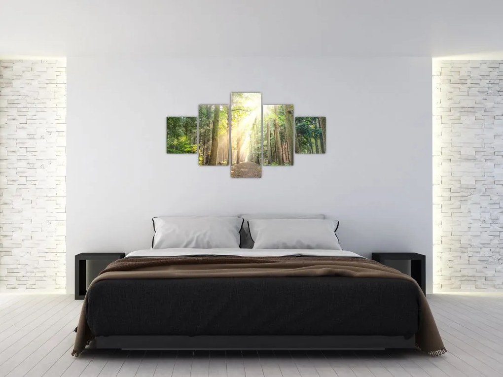 Obraz ścieżki w lesie (125x70 cm)