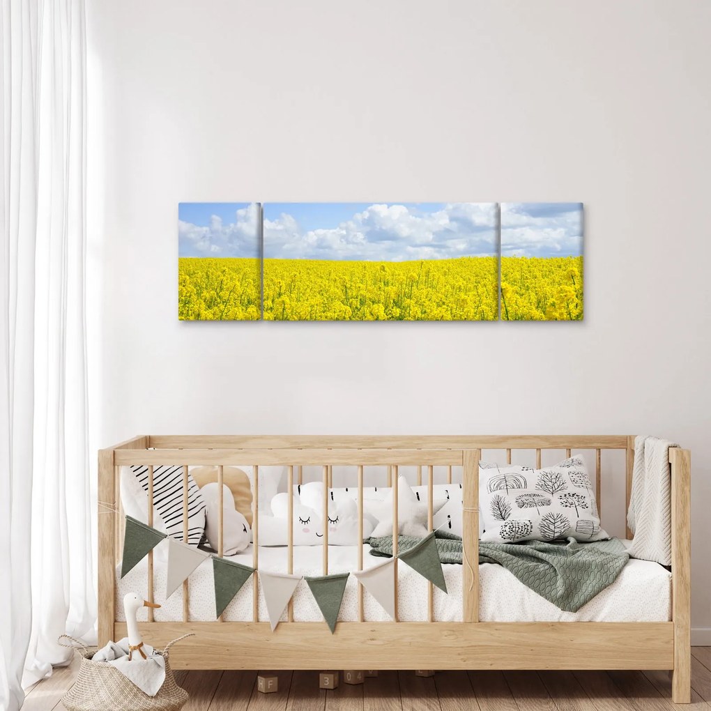 Obraz żółtego pola (170x50 cm)