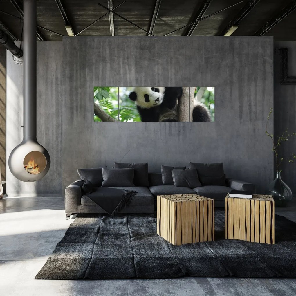 Obraz - Panda na drzewie (170x50 cm)