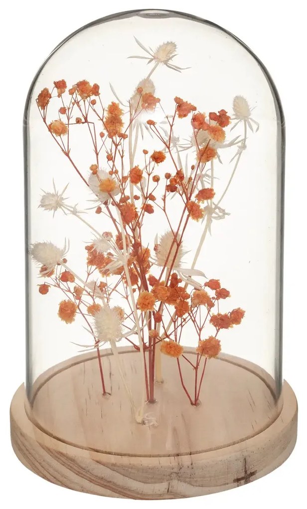 Suszone kwiaty pod szklaną kopułą FLOWER BELL, wysokość 17 cm Kolor: Pomarańczowy