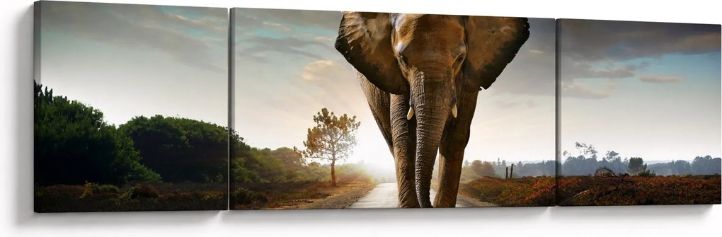 Obraz słonia (170x50 cm)