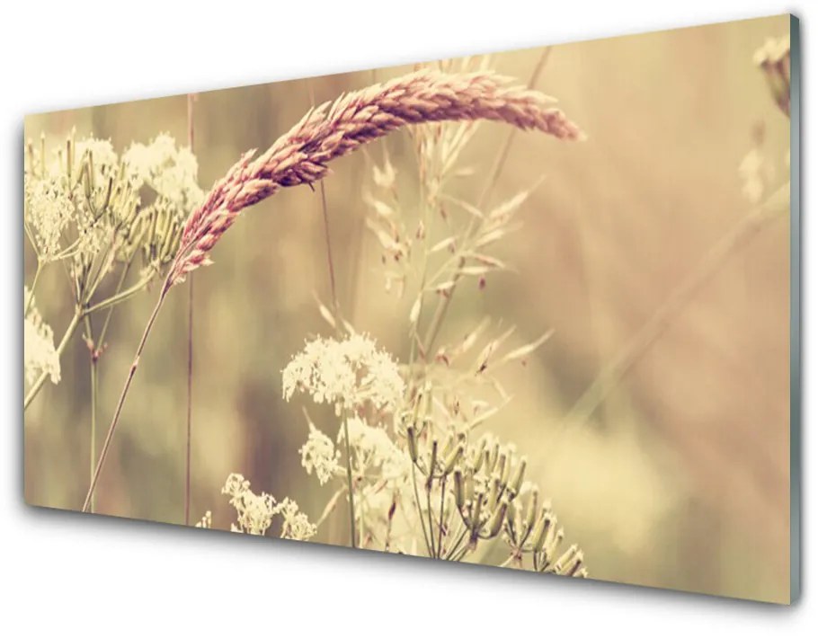 Panel Szklany Dzikie Rośliny Natura