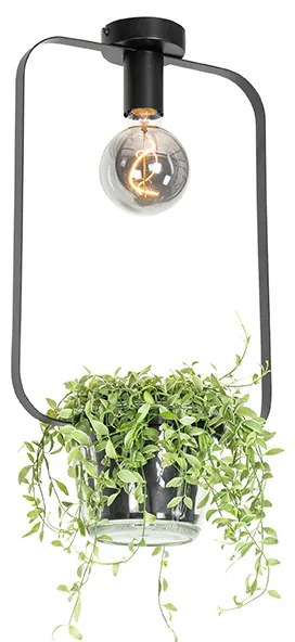 Nowoczesna lampa sufitowa czarna ze szklanym prostokątnym kloszem - Roslini