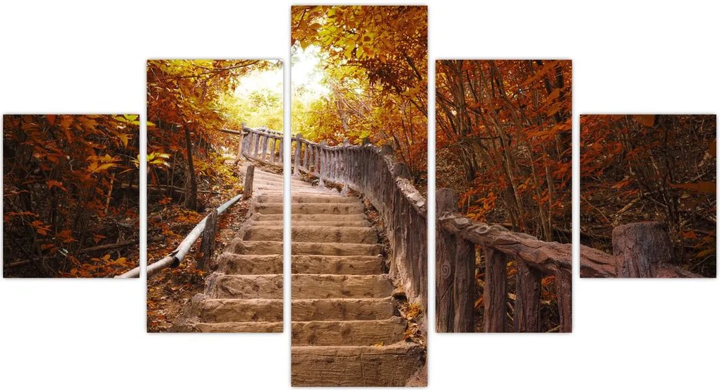 Obraz - Schody w naturze jesienią (125x70 cm)