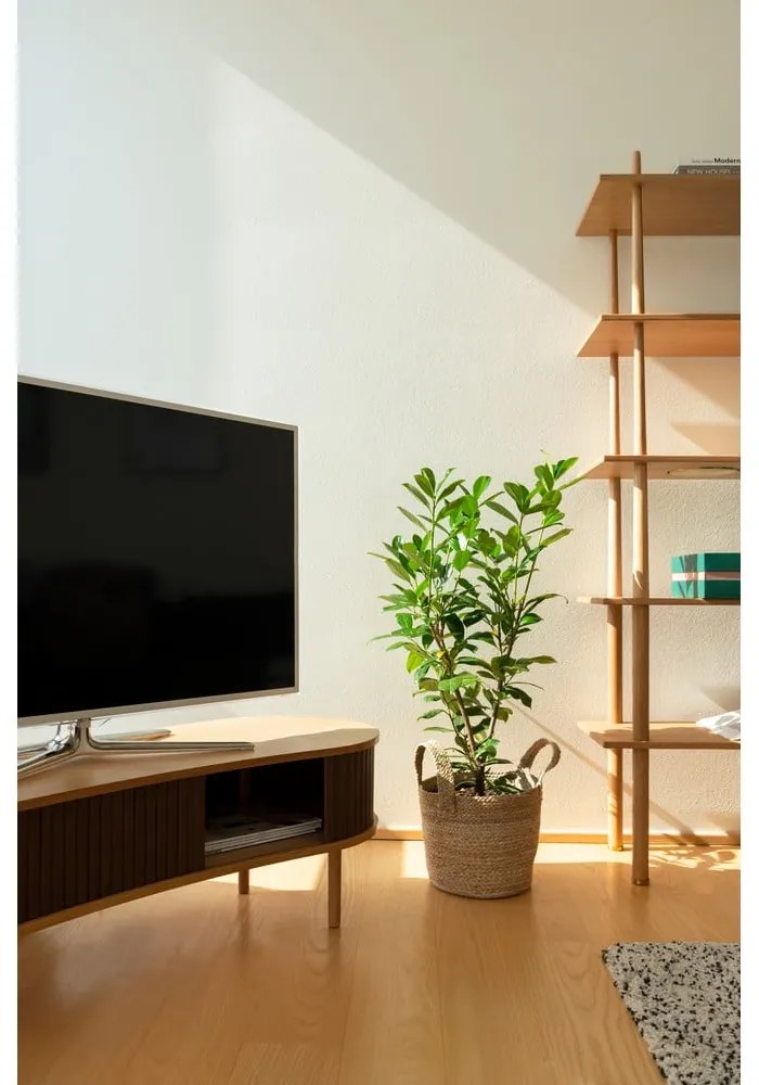 Brązowa szafka pod TV w dekorze dębu 140x40 cm Audacious – UMAGE