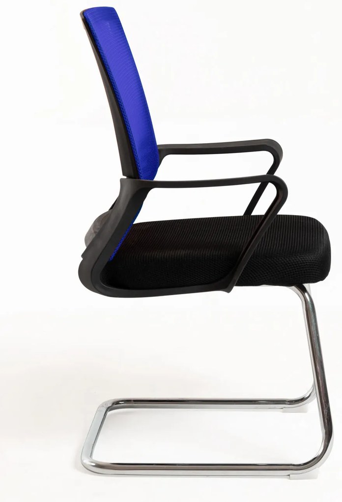 Pewny siebie Krzeso Kole