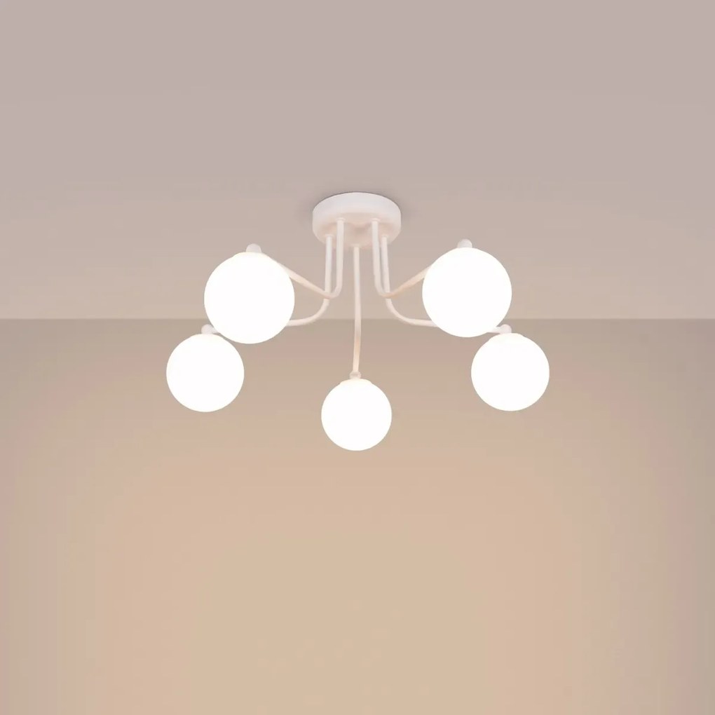 Żyrandol ASTRAL 5 biały SOLLUX  LIGHTING