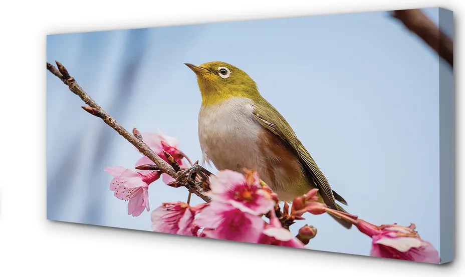 Obraz na płótnie Samotny Ptak na Gałęzi