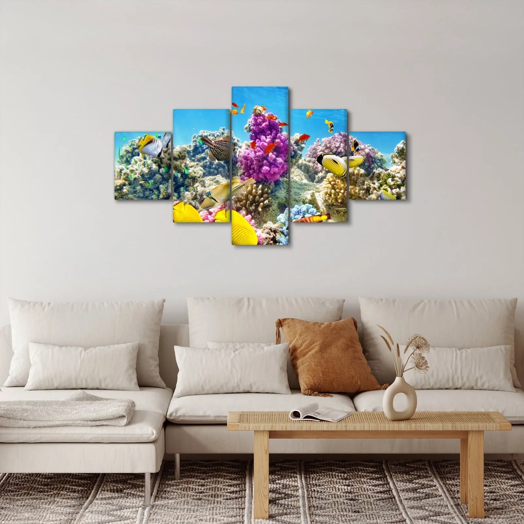 Obraz - Morski świat (125x70 cm)