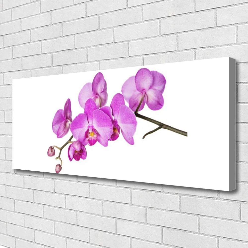 Obraz Canvas Storczyk Orchidea Kwiaty