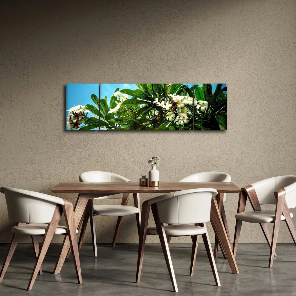 Obraz - Plumeria (170x50 cm)