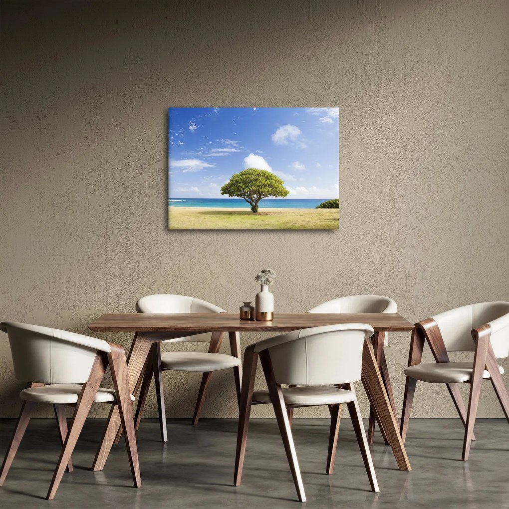 Obraz plaży z drzewem (70x50 cm)