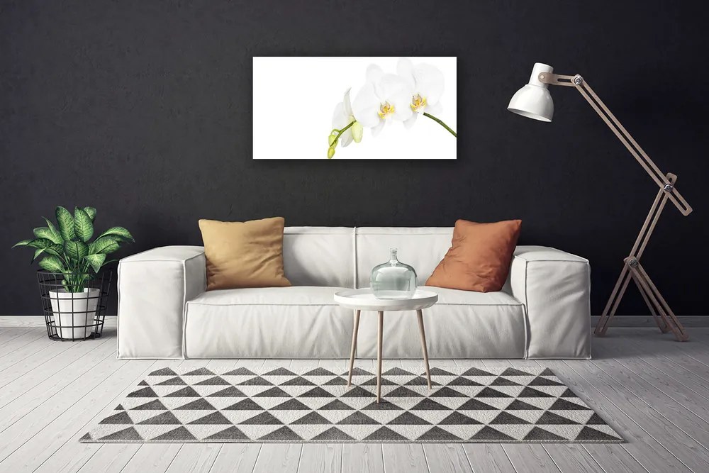 Obraz canvas Letni Ogród Botaniczny