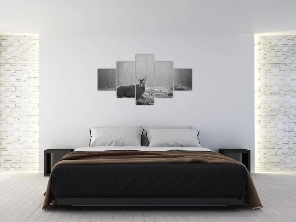 Obraz - Jeleń w lesie, czarno - biały (125x70 cm)