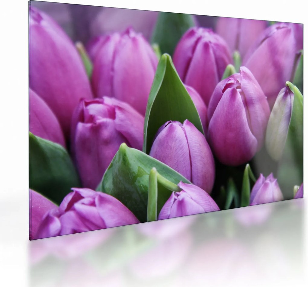 Obraz na szkle - kwiaty tulipanów (70x50 cm)